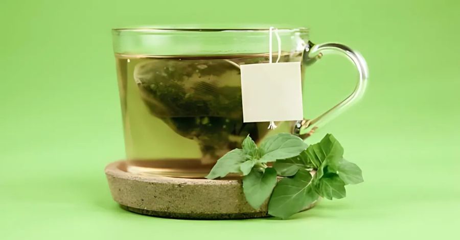 green tea for weight loss, antioxidant drink, metabolism booster